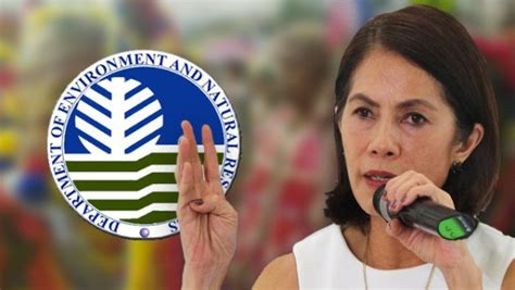 gina lopez projects|Gina Lopez, environmental champion .